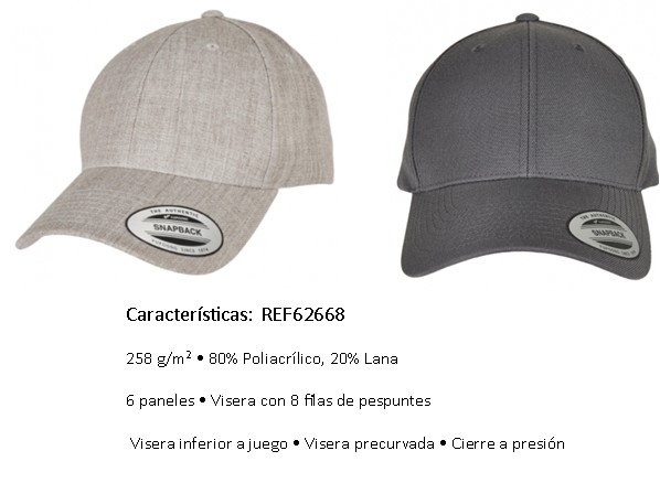 919029  GORRA PREMIUN VISERA CURVA